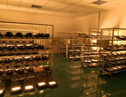 ການທົດສອບເກົ່າ