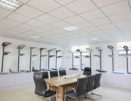 ສະແດງໃຫ້ເຫັນ roon